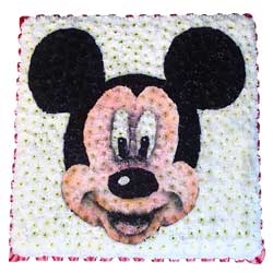 Funeral Tribute - Mickey